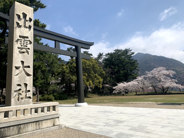 ご縁の町出雲大社の桜をお届け 島根 出雲市にある老舗和菓子屋 坂根屋 さかねや