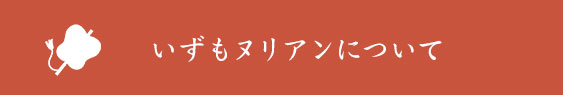 IZUMO NURIANについて