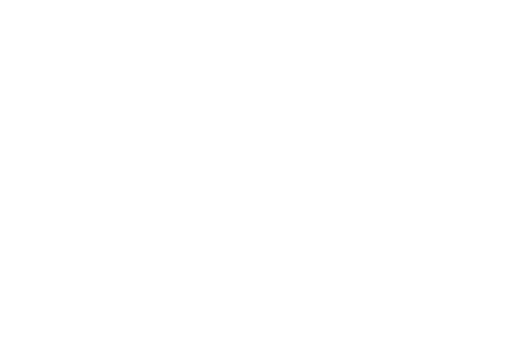 出雲産 大納言小豆